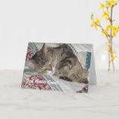 ねむたいタビー猫が挨拶に来る カード (黄色い花)