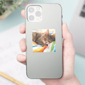 ねむたい猫のカラフルシート シール (スマートフォン)