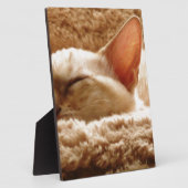 ねむねむ猫 フォトプラーク (側面)