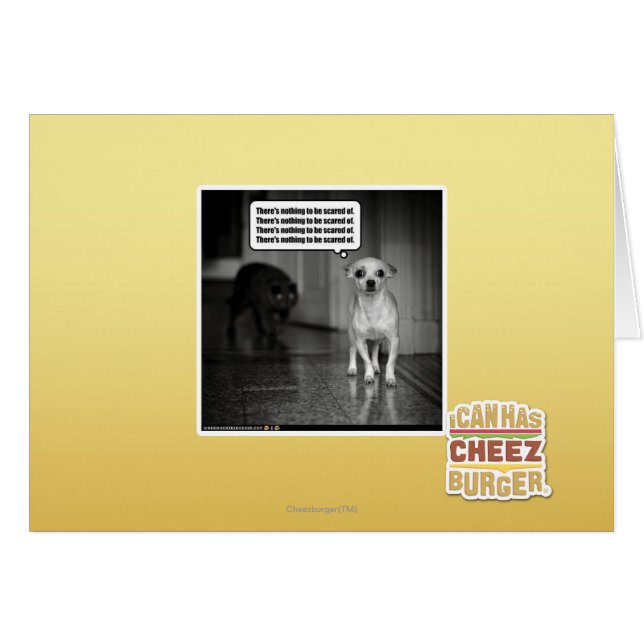 のおびえていることを何もありません (正面横)