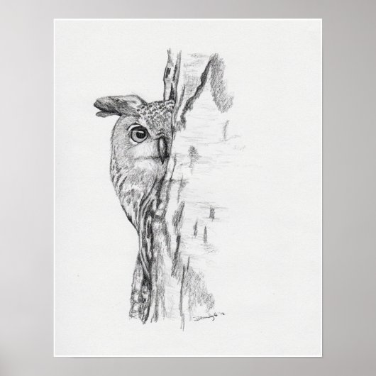 のぞきフクロウ» ポスター (正面)