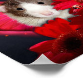 のぞきーっとーっとー！ポスター ポスター (角)