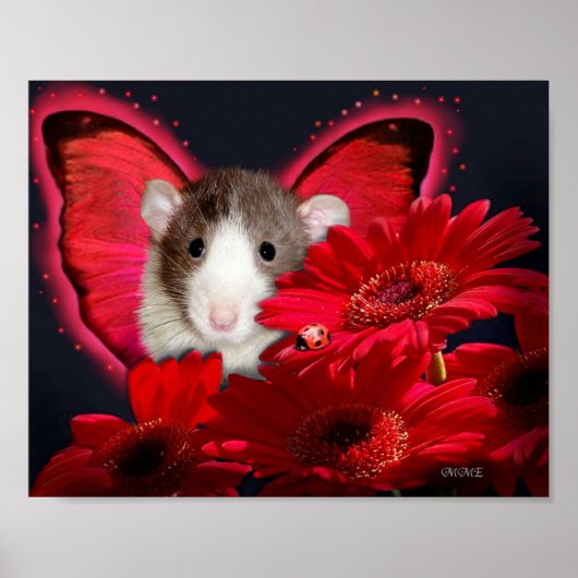 のぞきーっとーっとー！ポスター ポスター (正面)