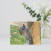 のぞきー！ ポストカード (スタンド正面)