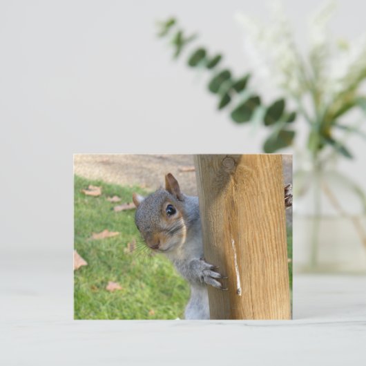 のぞきー！ ポストカード (スタンド正面)