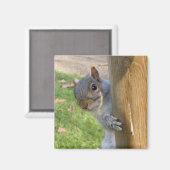 のぞきー！ マグネット (正面/裏面)