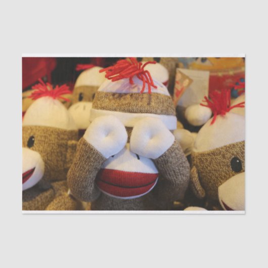 のぞき見する靴下ザル 薄葉紙 (正面)