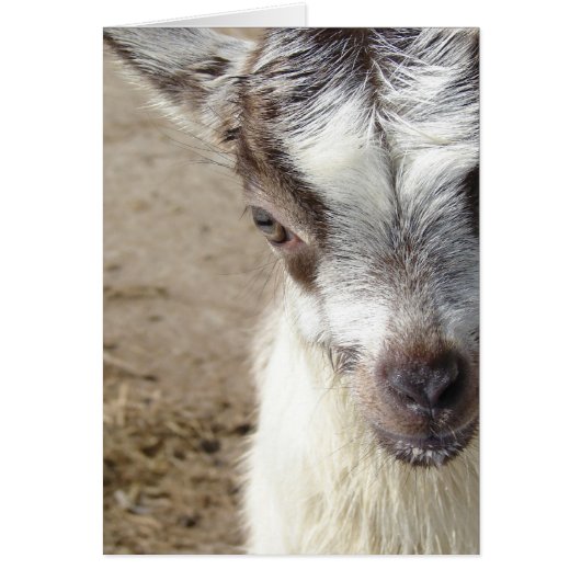 のぞき見する (正面)