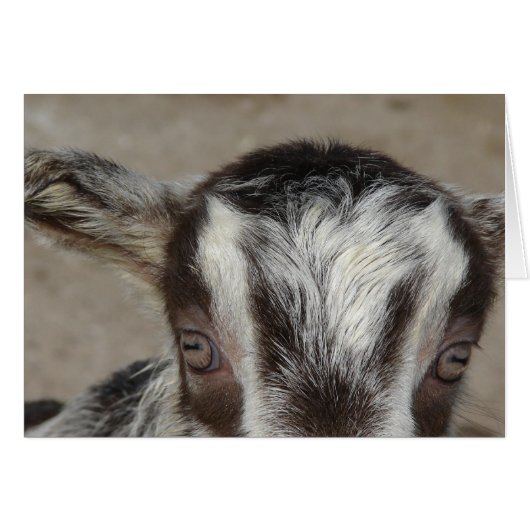 のぞき見 (正面横)