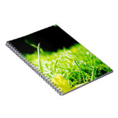 のぞき見 ノートブック (右側)