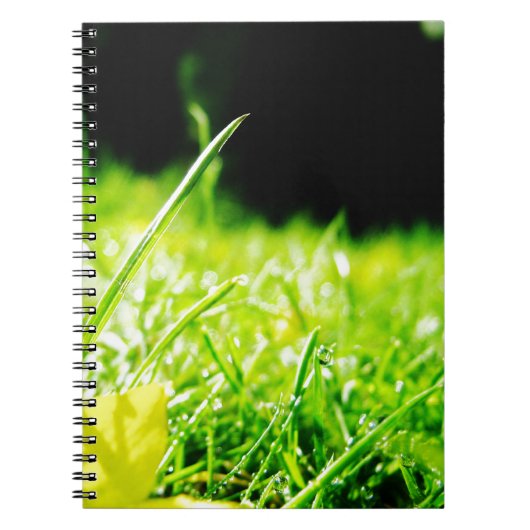 のぞき見 ノートブック (正面)