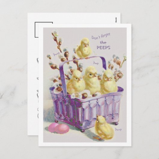 "のぞき見" CHICKIEのグラムのイースターバスケット忘れないで下さい シーズンポストカード (正面/裏面)