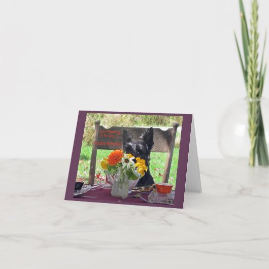 のぞき込み カード (正面)