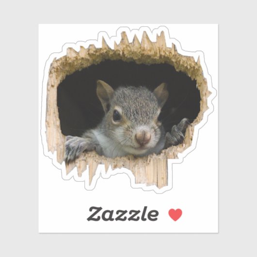 のぞく。 – 灰色リス シール (シート)