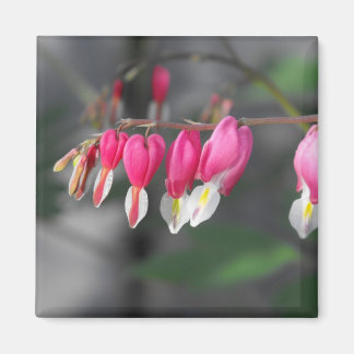 のつるハート磁石 マグネット