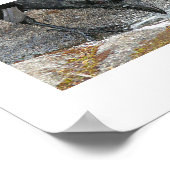 のどが渇いたカラスの飲料水写真 ポスター (角)