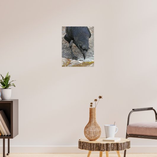 のどが渇いたカラスの飲料水写真 ポスター (リビング3)