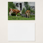 のどが渇いたフレックヴィエ (正面&裏面)