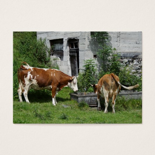 のどが渇いたフレックヴィエ (正面)