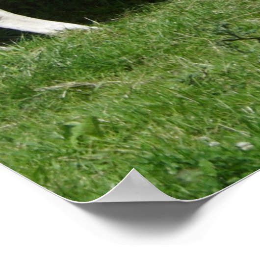 のどが渇いたフレックヴィエ ポスター (角)