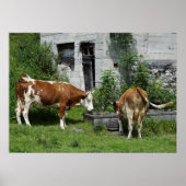 のどが渇いたフレックヴィエ ポスター (正面)