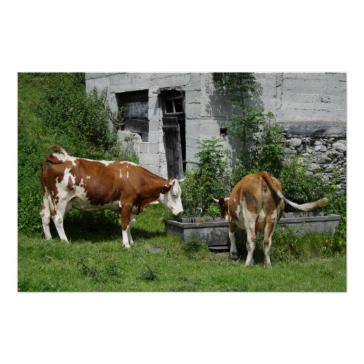 のどが渇いたフレックヴィエ ポスター (正面)