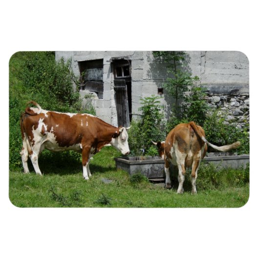 のどが渇いたフレックヴィエ マグネット (横)