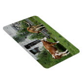 のどが渇いたフレックヴィエ マグネット (右側)