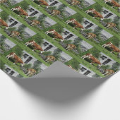 のどが渇いたフレックヴィエ ラッピングペーパー (角)