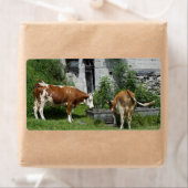 のどが渇いたフレックヴィエ ラベル (インサイチュ)