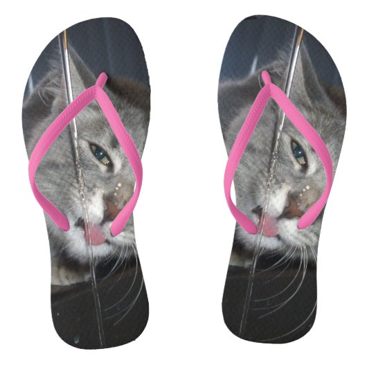 のどが渇いた猫がタップを飲み ビーチサンダル (ソール)