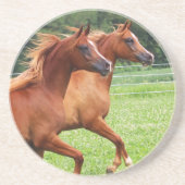 のどが渇いた石造りのコースター1 BOGOの子馬 コースター (正面)