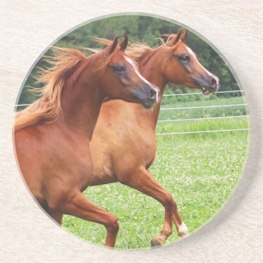 のどが渇いた石造りのコースター1 BOGOの子馬 コースター (正面)