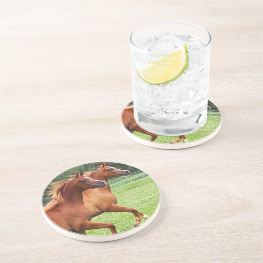 のどが渇いた石造りのコースター1 BOGOの子馬 コースター (側面)