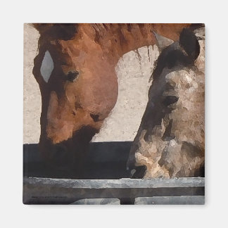 のどが渇いた馬が水トラフで飲む マグネット