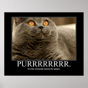 のどを鳴らす音は平和アートワークのための普遍的な音です ポスター