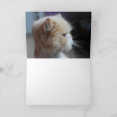 のどを鳴らす音fectのペルシャの挨拶状 カード (内部)