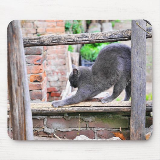 のびをする猫 マウスパッド (正面)