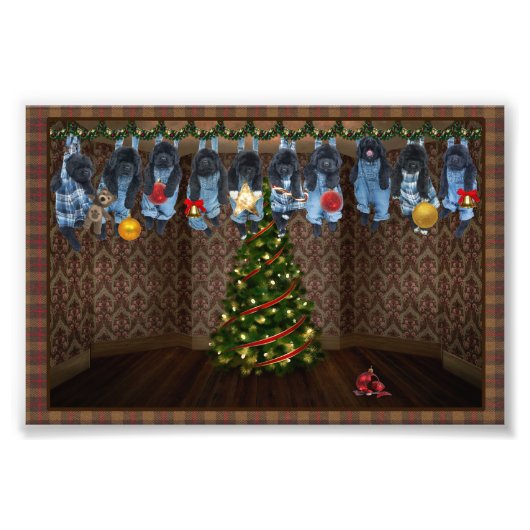 のぶら下がったクリスマスのまわりにフォトプリント フォトプリント            (正面)