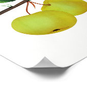 のぶら下がったソラード・アップル・フルーツ ポスター (角)