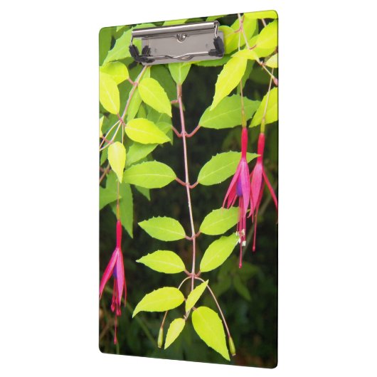 のぶら下がったピンク明るい赤紫色フローラ クリップボード (左)