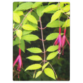 のぶら下がったピンク明るい赤紫色フローラ クリップボード (裏面)