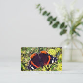 のまれなアカタテハチョウ蝶および蜂 割引カード (スタンド正面)