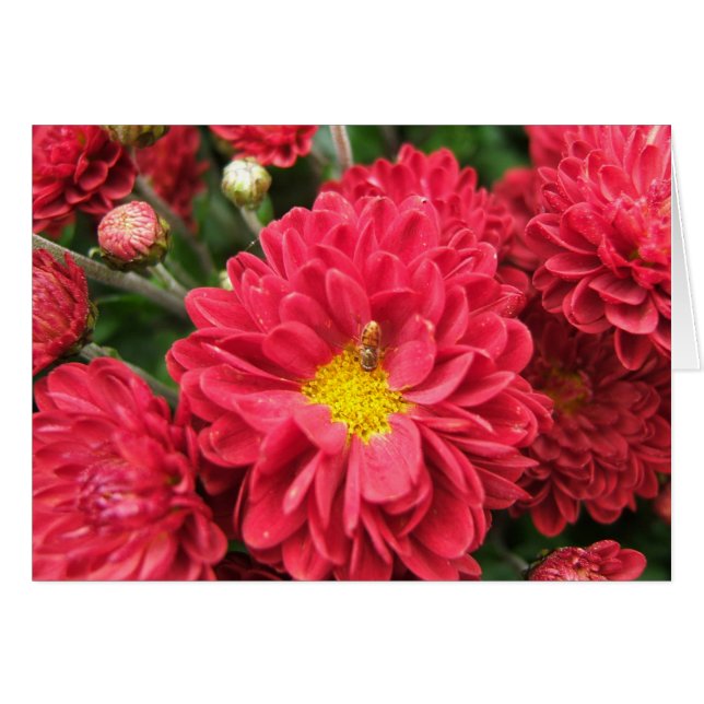 のまわりにおよびピンクの花の空白のなカード (正面横)