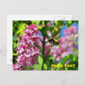 のまわりにがライラックを舞い上がる ポストカード (正面/裏面)