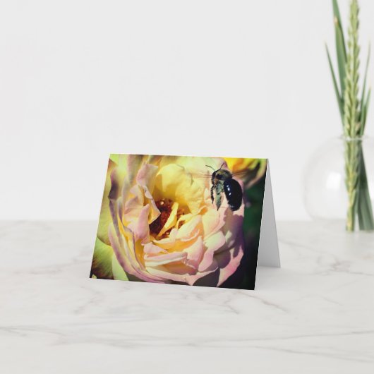 のまわりにとバラフラワーノートカード サンキューカード (正面)