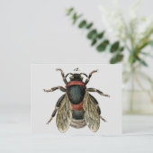 のまわりにのクラシックな動物学のエッチング ポストカード (スタンド正面)