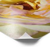 のまわりにのフライト中10x8自然 フォトプリント (角)