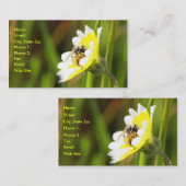 のまわりにの名刺 名刺 (正面/裏面)