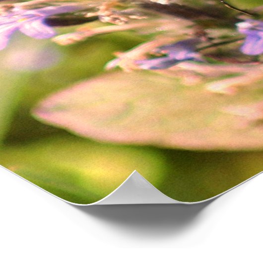 のまわりにの紫色の花のクローズアップ ポスター (角)